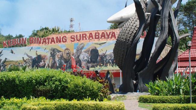 Kebun Binatang Surabaya