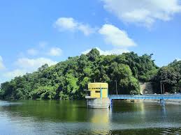 Waduk Pacal