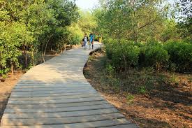 Ekowisata Mangrove Wonorejo